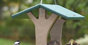 Украшение сада — кормушка для птиц своими руками
